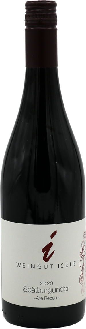 2023er Spätburgunder Rotwein, trocken -alte Reben-