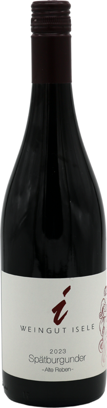 2020er Spätburgunder Rotwein, trocken -alte Reben-