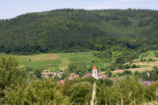 Natur & Region
