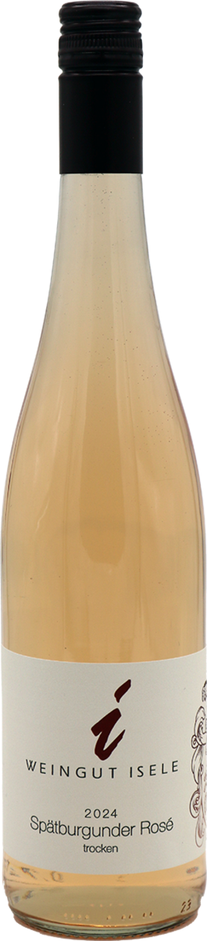 2024er Spätburgunder Rose