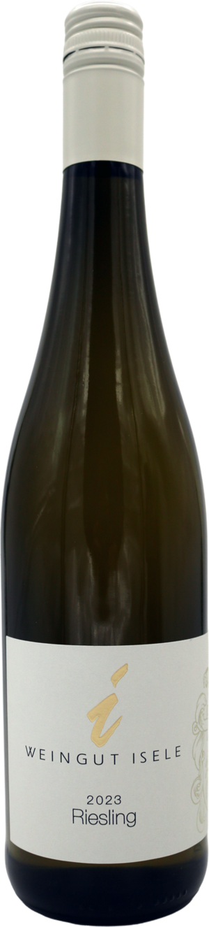 2023 Auxerrois